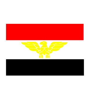 a_ayman11's emblem