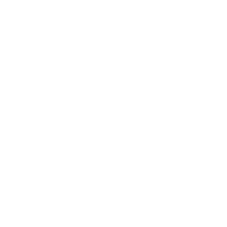 12vdk's emblem
