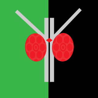 m-2431320's emblem