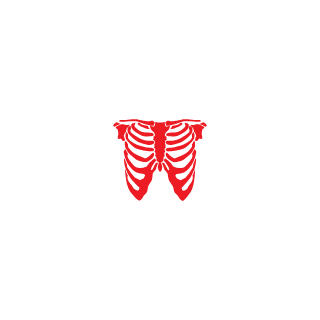 elcastigador01's emblem