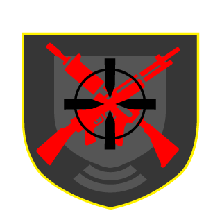 1LuffY0's emblem