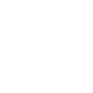 Y0ungSIR's emblem