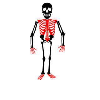 RBhercs2's emblem