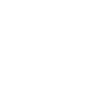 Boldninja999's emblem