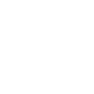 -VPP-'s emblem