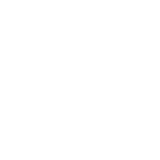 SpinningTurtlee's emblem