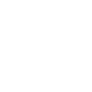 BLACKBULKA's emblem