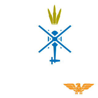 BielTheGamer1's emblem