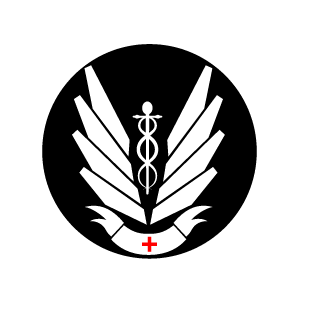 HyDruuu's emblem