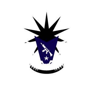 45-crasherflare's emblem