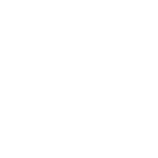 BrandSpankMeNew's emblem
