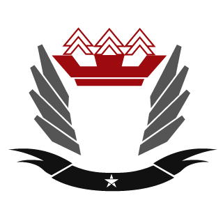 k1ngy29's emblem