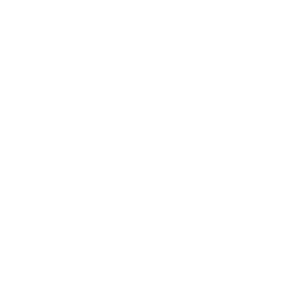 756848870zhao's emblem