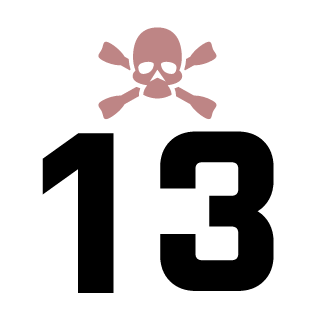 BlackDeathRaven's emblem