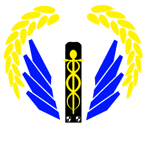 MistakenDawg's emblem