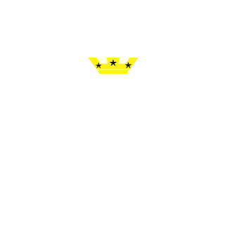 Rodrigobilm's emblem