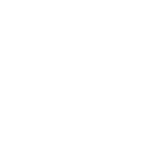 skynett33's emblem