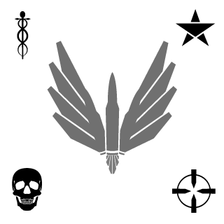 8NiteHawk8's emblem
