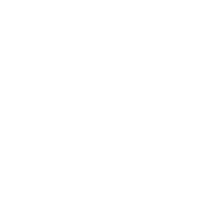 Messonline's emblem