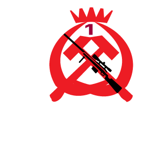 vtufybr's emblem