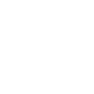 Northpole1213's emblem