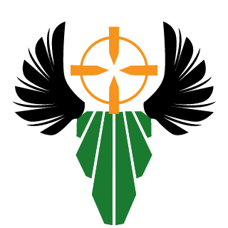 MASTERIRONSKIN's emblem