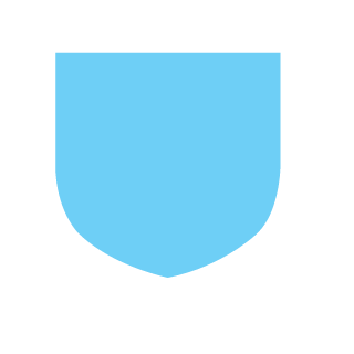 NeTe702's emblem