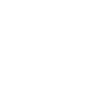 KINGTIKKI's emblem