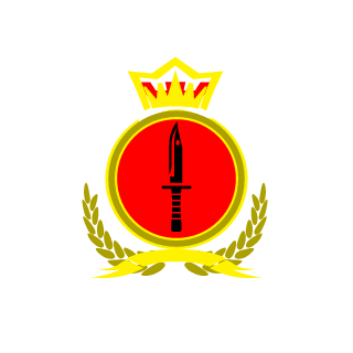 joint task force2's emblem