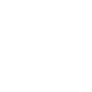 s-47_47-s's emblem
