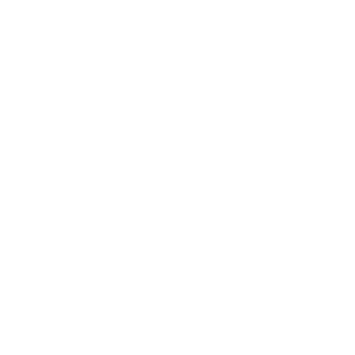 Razruchitel2004's emblem