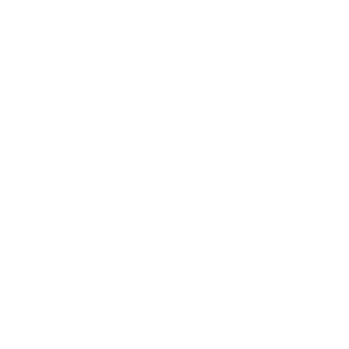 plnsky's emblem
