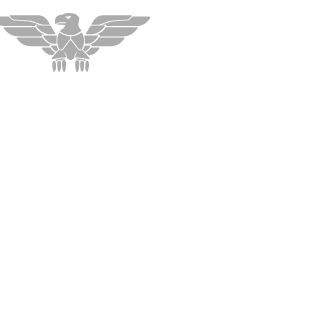 iAmDovakhin's emblem