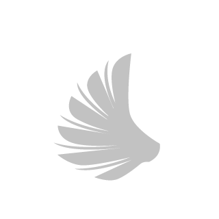 Falcao_Hawk's emblem
