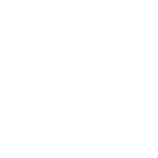 11codghost's emblem