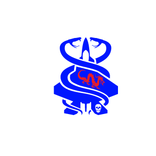THZfps1's emblem