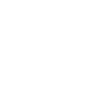 SLAVUNIST's emblem