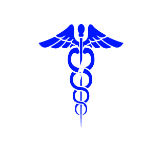 spiritbombeiro's emblem