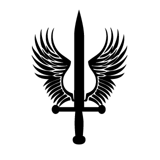 75TH rangers's emblem