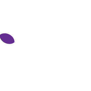 ZEVAQUERO's emblem