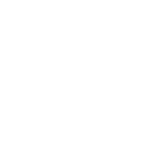 58-Eagle's emblem