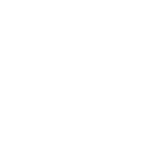 5chlauchk3fer's emblem