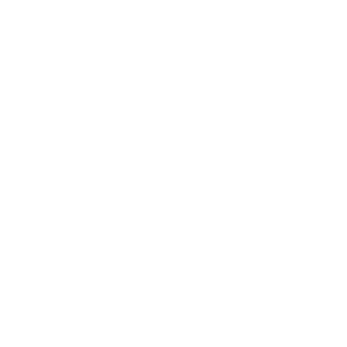 x0n's emblem