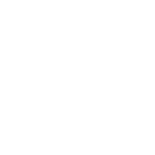 AKN1404's emblem