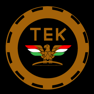 Grayy4899's emblem
