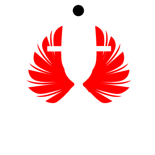 T1BroomOperator's emblem