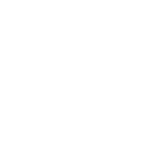 moisesferreira's emblem