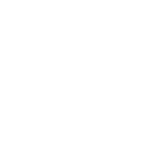 GustY228's emblem
