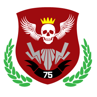 PATfan117's emblem