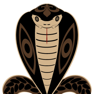 Secret Cobra's emblem